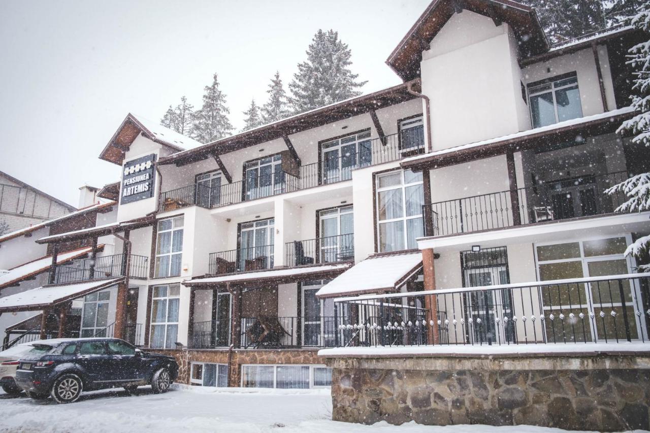 Artemis Villa Poiana Brasov Exterior foto
