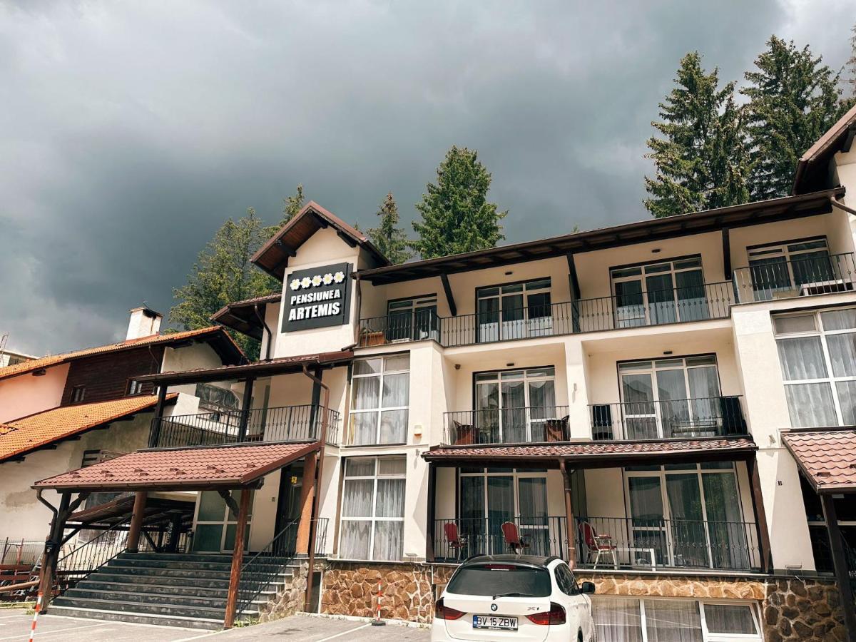 Artemis Villa Poiana Brasov Exterior foto