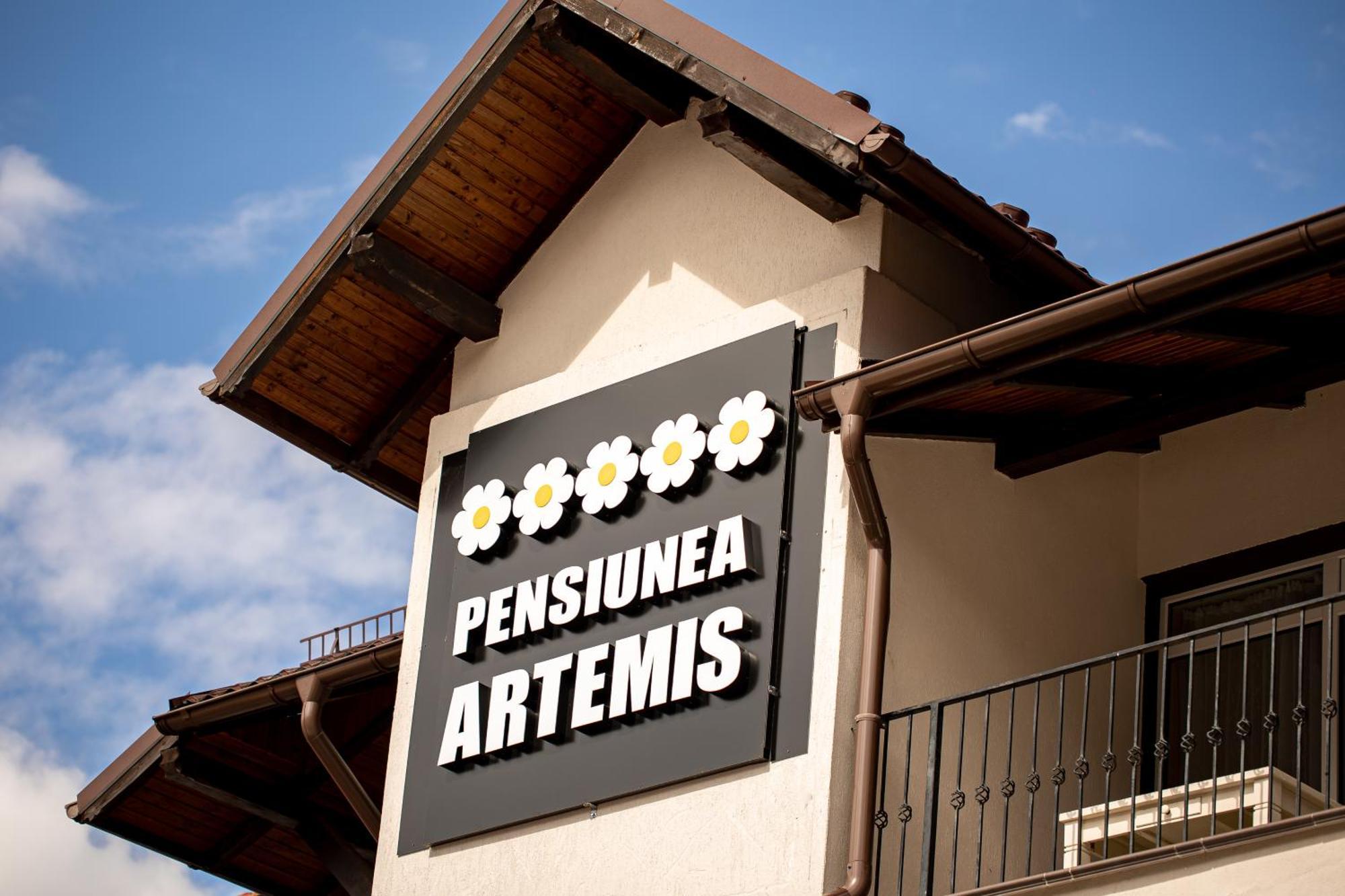 Artemis Villa Poiana Brasov Exterior foto