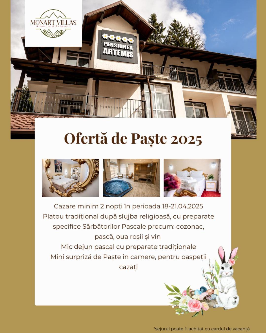 Artemis Villa Poiana Brasov Exterior foto
